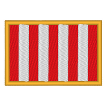 Load image into Gallery viewer, Sons of Liberty Flag Plate Carrier Patch
